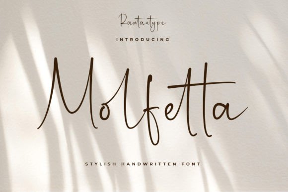 Molfetta Font: A Script Amp Typeface That Elevates Brand Design