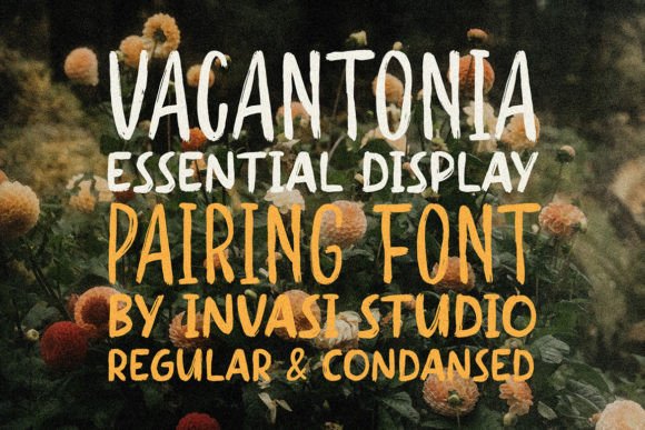 Vacantonia Font Review: A Bold Display Typeface for Campaign Designers
